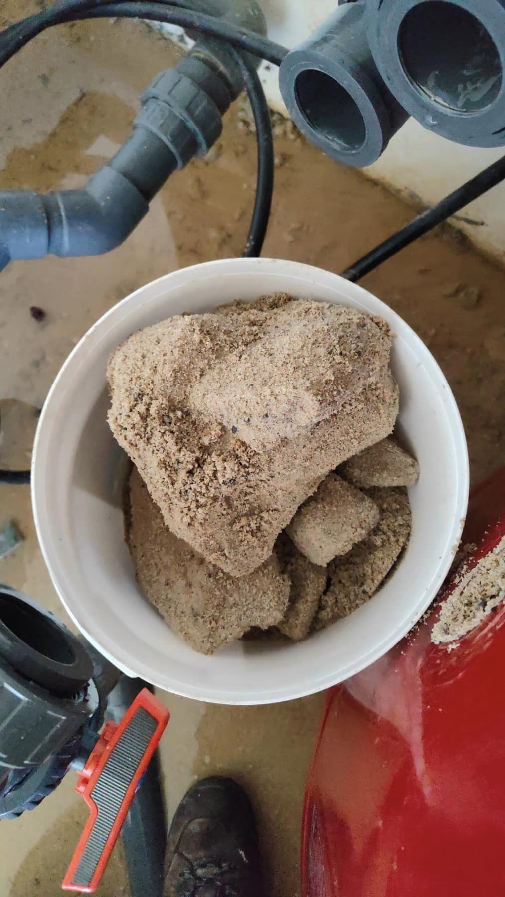 Συντήρηση πετρωμένης άμμους